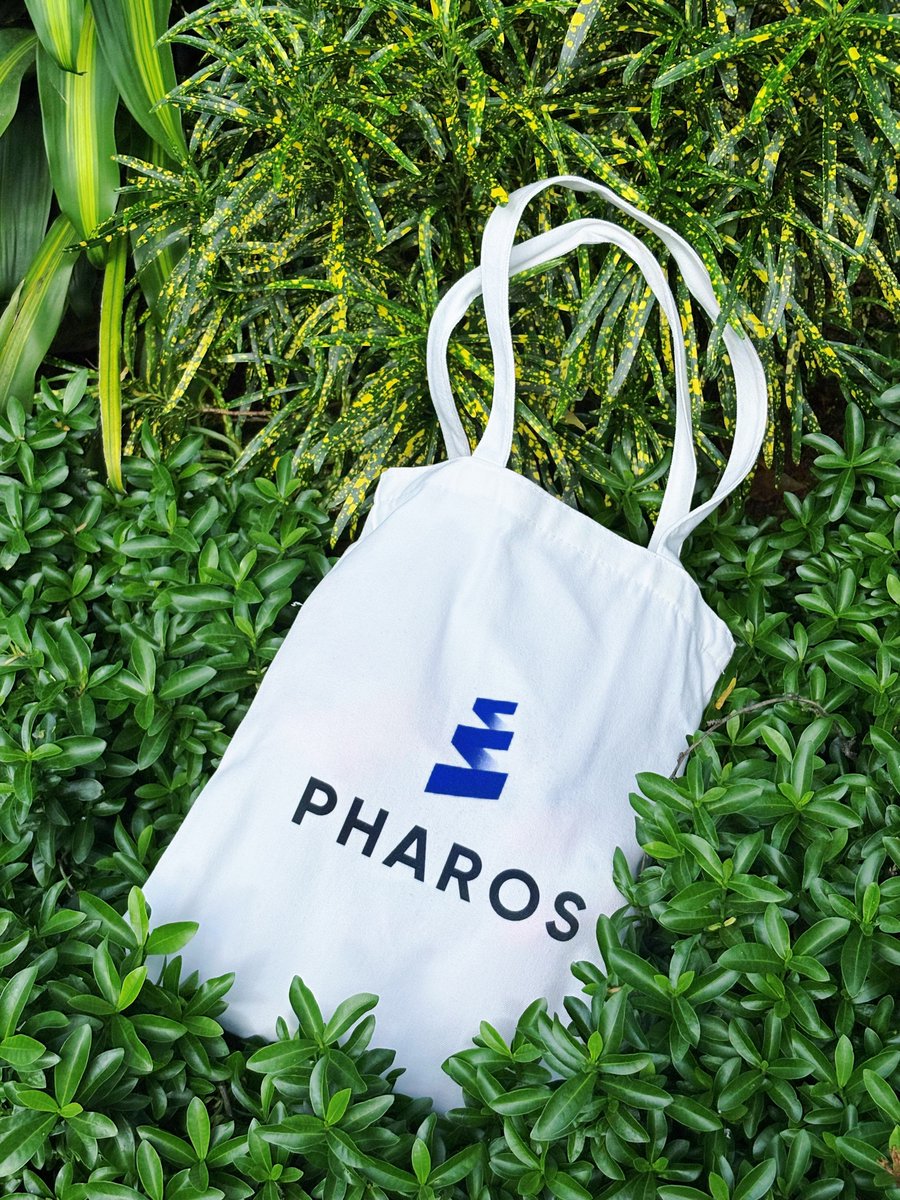 pharos_network's tweet photo. Pharos IRL @🇭🇰HK #HongKongFintechWeek

What a city! TradFi. Crypto. Innovation and capital, all in one

If Hong Kong is the pulse, Pharos is the flow in motion 🟦✨ https://t.co/BLZSlfnY2T