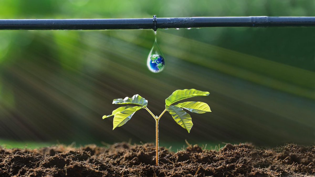 agripeak1's tweet image. EVERY DROP COUNTS!

In green farming, saving water is saving life. Smart irrigation, rainwater harvesting, and mindful watering can boost yields while protecting our planet.

#WeForChange
#WeAreAgripeak 
#AgricultureTransformation