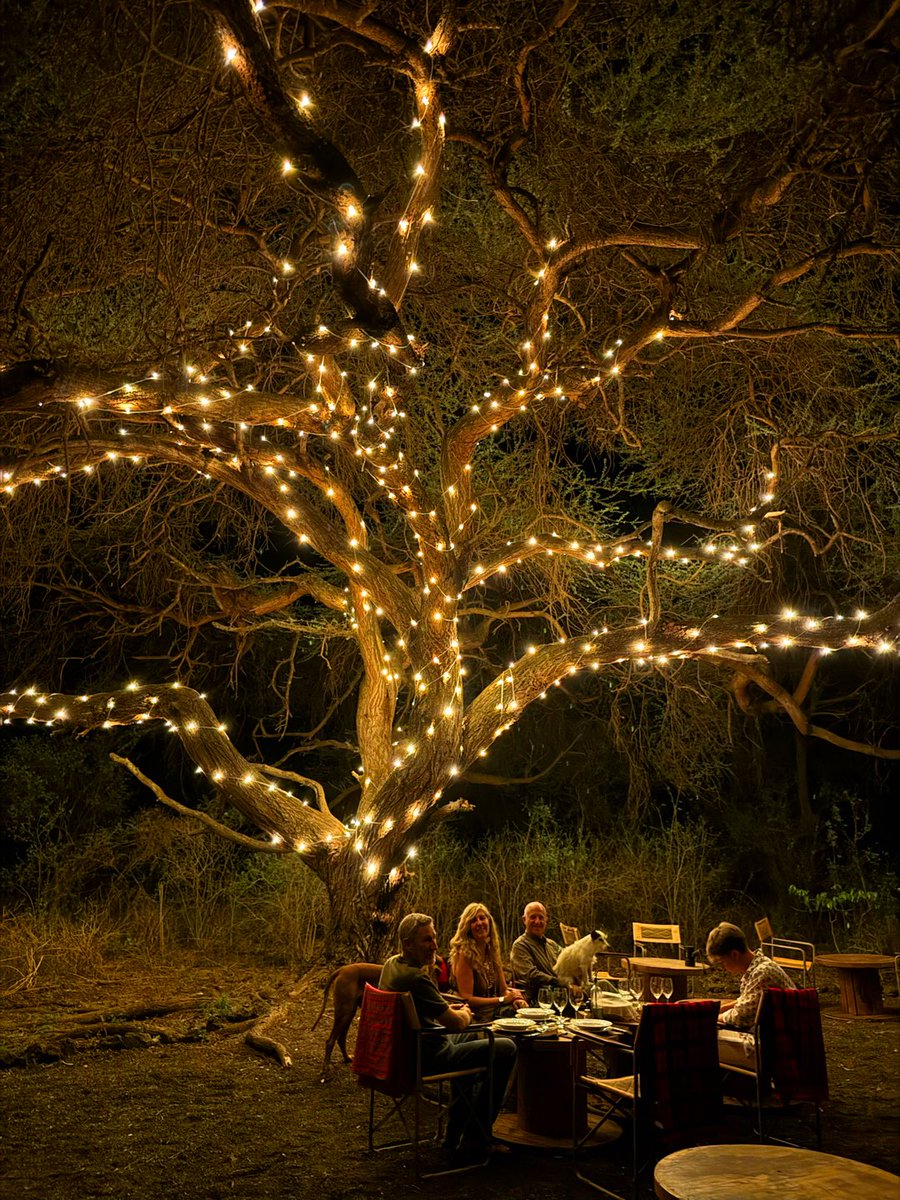 Dinner beneath the acacia, where the wild meets the wonderful - and every branch holds a little light of its own.
Chyulu Lodge evenings, always a little spellbinding! #chyululodge #campiyakanzi