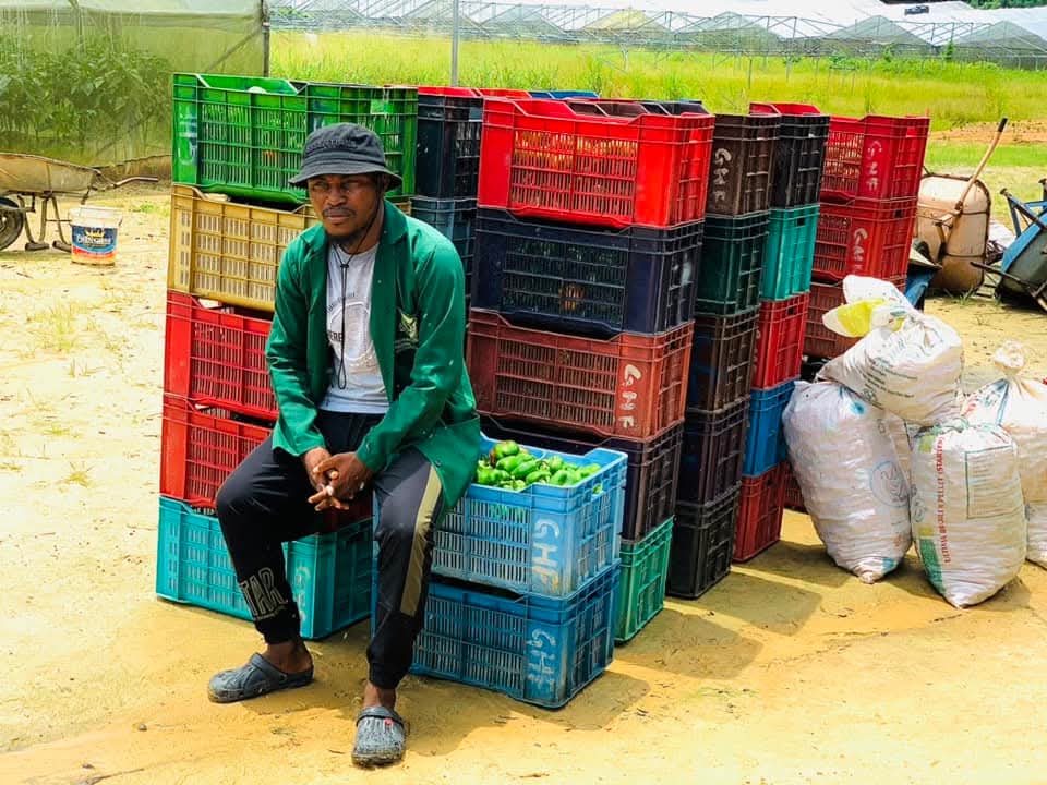 BaaleOfMilan's tweet photo. As an Agribusiness coach, one of my goals is to shrug off the misconceptions and stigma on Agriculture.

Agriculture is not meant to be a plan B cos you were unable to secure a job

Agriculture is not strictly for uneducated people

As a farmer, you don't necessarily need to be dirty

There is a future in agriculture

#BaaleofMilan
#AgribusinessCoach