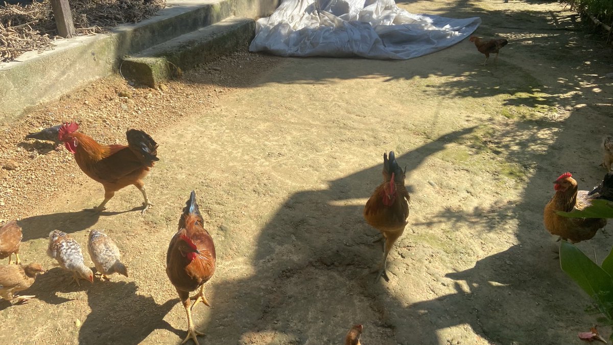 रीनासा💕 tweet media