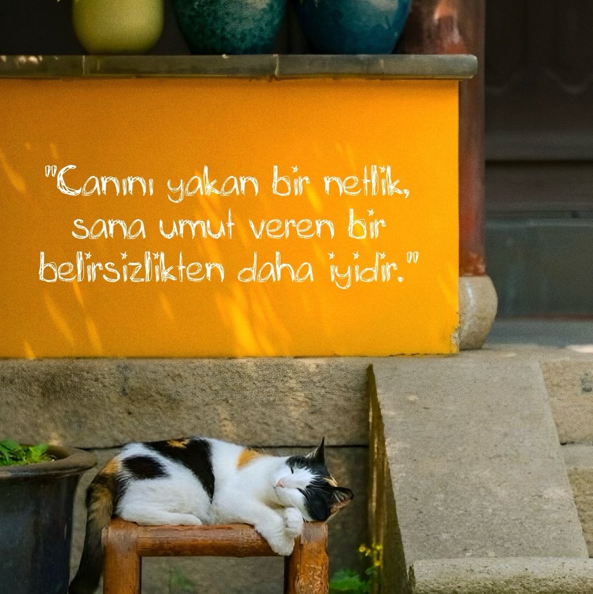 Bir gün var asra (@birgunvarasra) on Twitter photo 