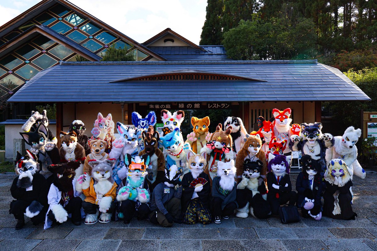 京けも tweet media