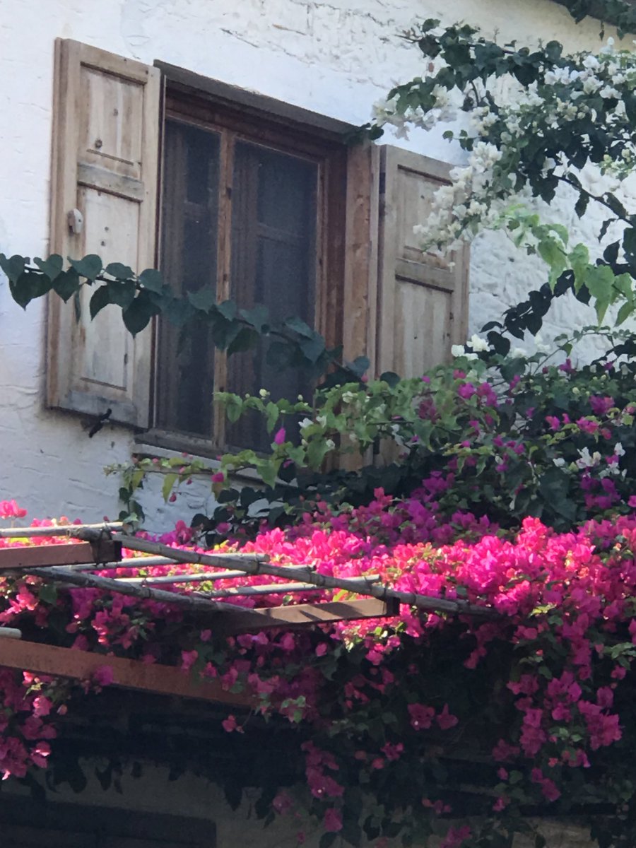 Günaydın datça…