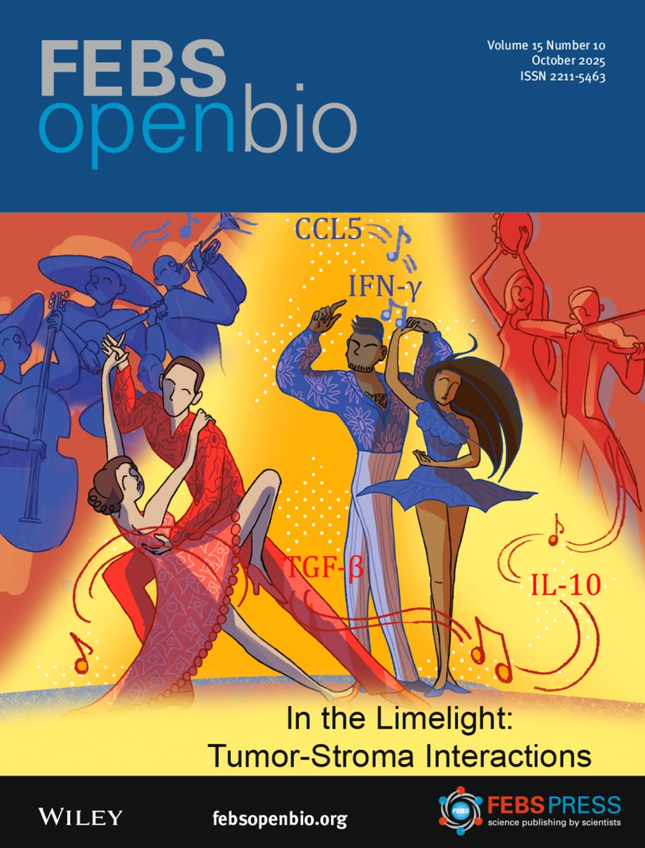 Ella_Maru's tweet image. 💃 Our New Cover for @FEBSOpenBio!

The latest issue, “In the Limelight: Tumor–Stroma Interactions”, dives into the fascinating world of how cancer cells communicate with their surroundings including non-malignant cells and the extracellular matrix. Guest Editor Isabel Fabregat…