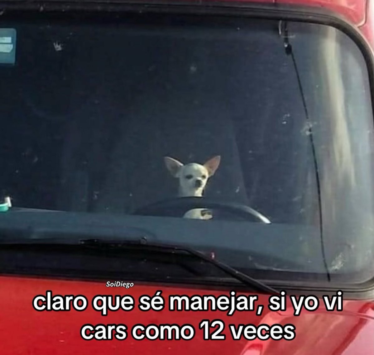 piña sin pizza (@skereunpesado) on Twitter photo 