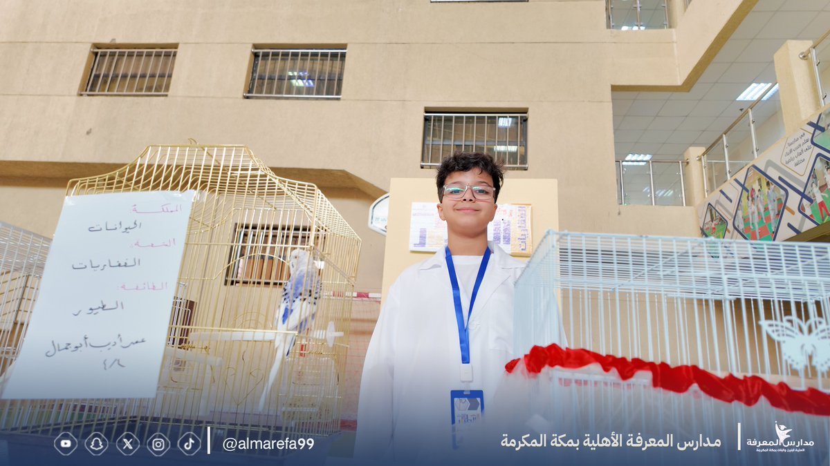 almarefa99's tweet photo. ابتدائية المعرفة الأهلية تقيم معرض الكائنات الحية، بهدف تعزيز المعرفة العلمية والبيئية لدى الطلاب، من خلال عرض مباشر وتفاعلي لمجموعة متنوعة من الكائنات الحية، في تجربة ثرية تنمّي الفضول والاستكشاف.   
#مدارس_المعرفة 
#معرض_الكائنات_الحية 
#تعليم_مكة https://t.co/LJOn0QmQNz