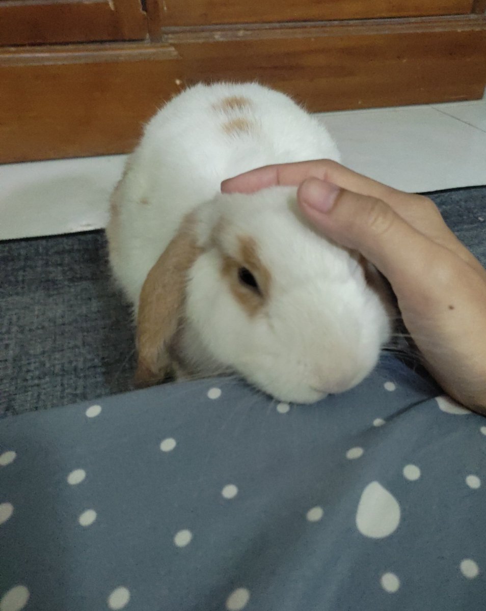 Jeyooo 🤏🏻🤏🏻