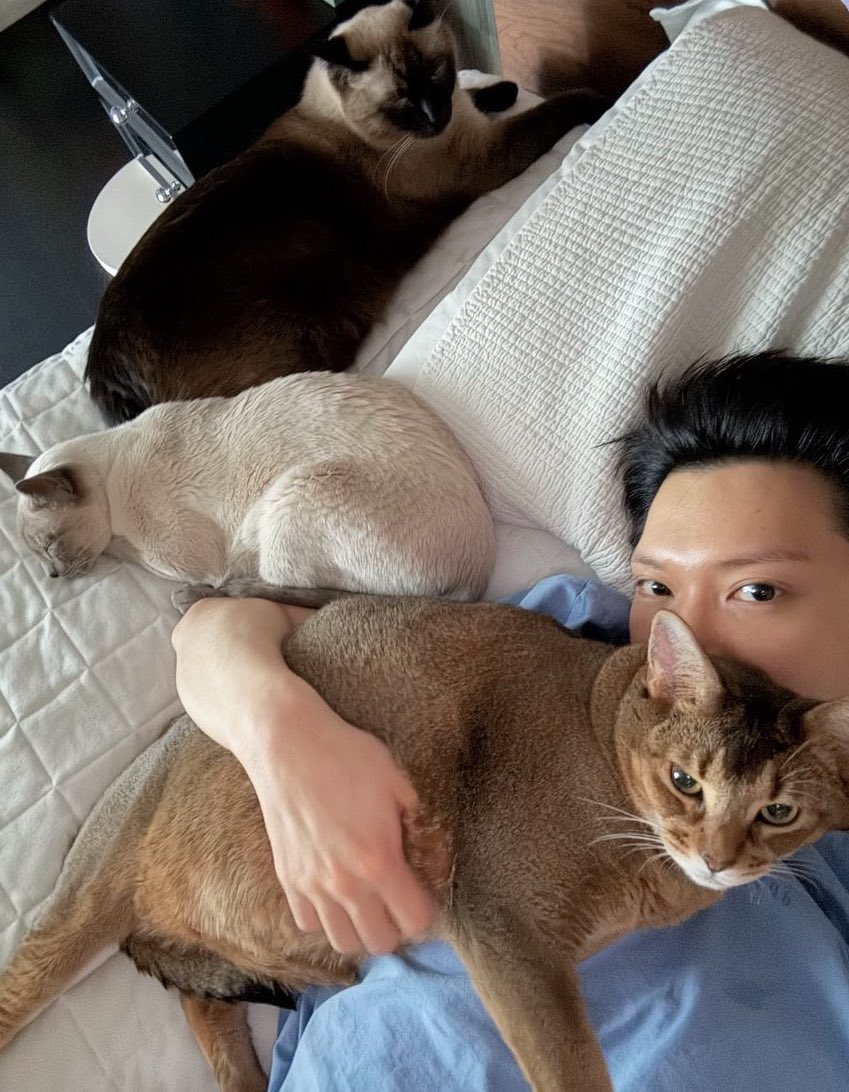 คนไทยเลี้ยงอะไรก็อ้วน