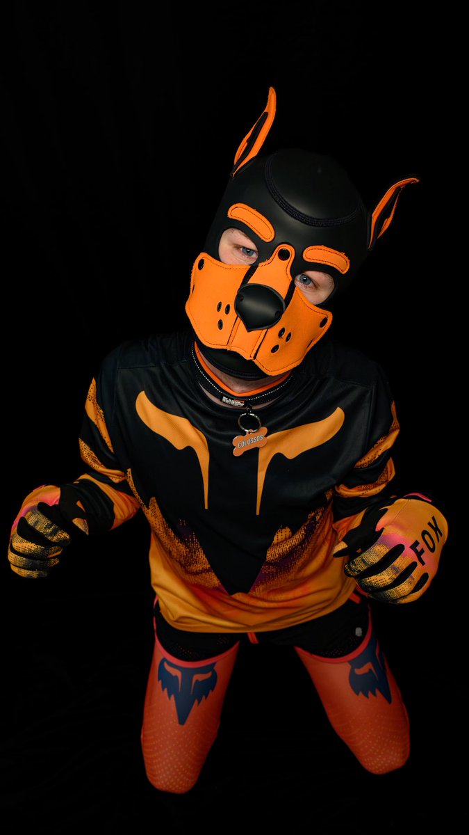 Just a good boy here. Nothing else …

📸 - <a href="/PupKip_/">Pup Kip</a>