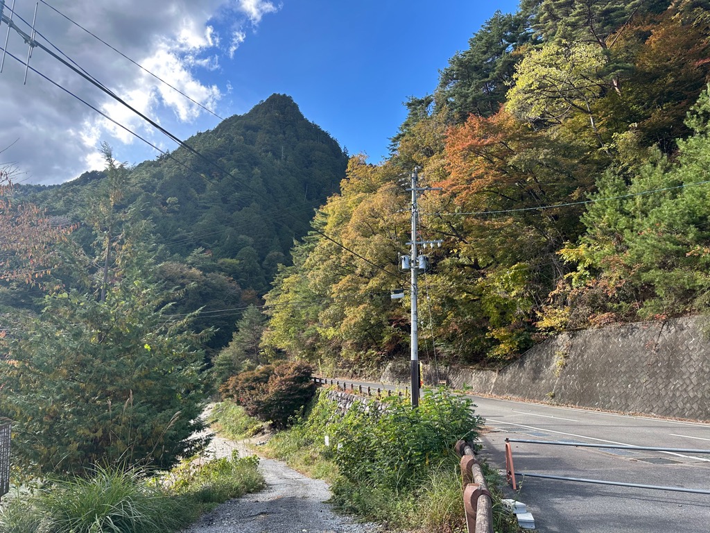 大桑村・紅葉情報　①阿寺渓谷

11月4日時点の村内紅葉の様子をお届けします。
阿寺渓谷は11月初めの3連休で一気に色づき、今週いっぱいが見頃になります。