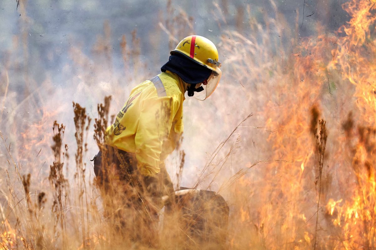 WOF-Kishugu JV tweet media