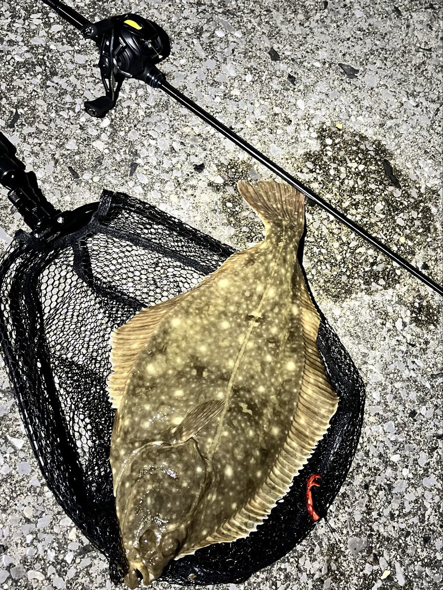 魚2 2008 Kawasaki ZX14 SPECIAL EDITION - AK MotorsAK Motors