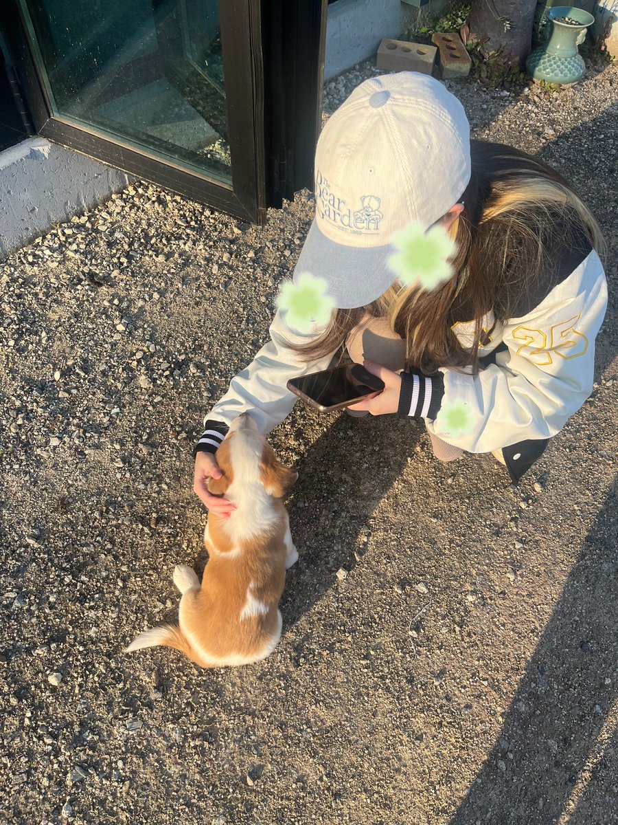 studystudyday's tweet image. 봉사활동왔다가 가나디만났어요