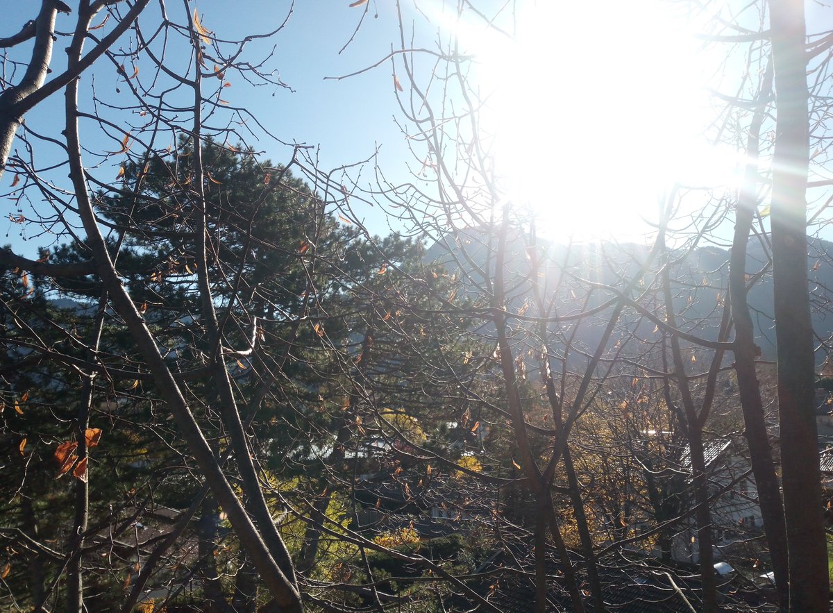 baumglueck's tweet photo. Unsere Baumpfleger bei einem schönen Projekt am Tegernsee.
#Baumglück 🌳🍀 https://t.co/TInSjNoiu6