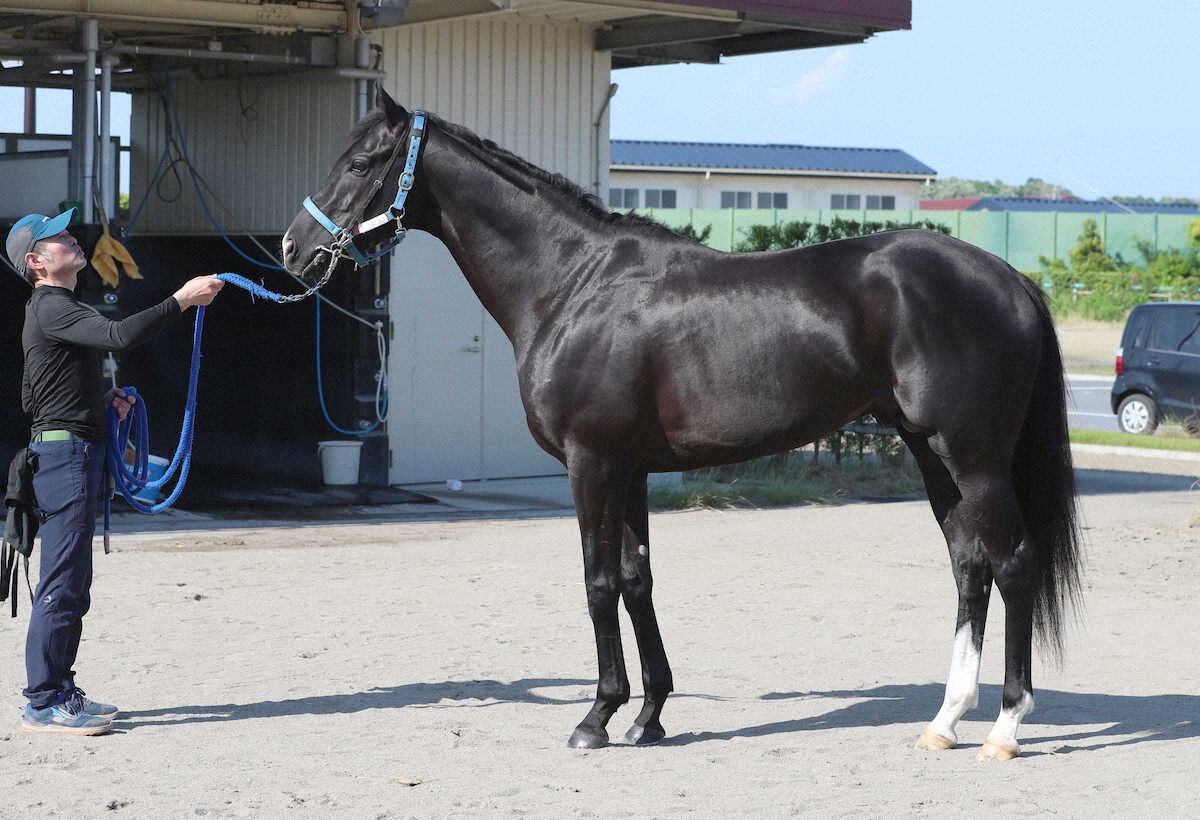 WIN!競馬_総合【公式】 on X