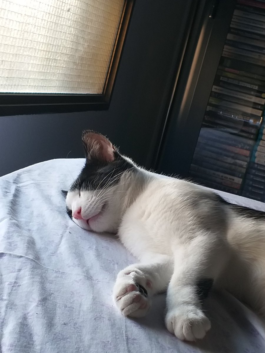 Cuando duerme parece un santo