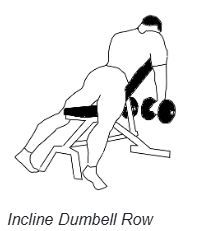 Manualroing på skråbenk, er en fin ryggøvelse for øvre og midtre del av ryggen.

Les mer om øvelsen her, og del gjerne dine erfaringer:
treningkosthold.no/exercise/detai…

#Trening #Ryggdag #FitnessTips