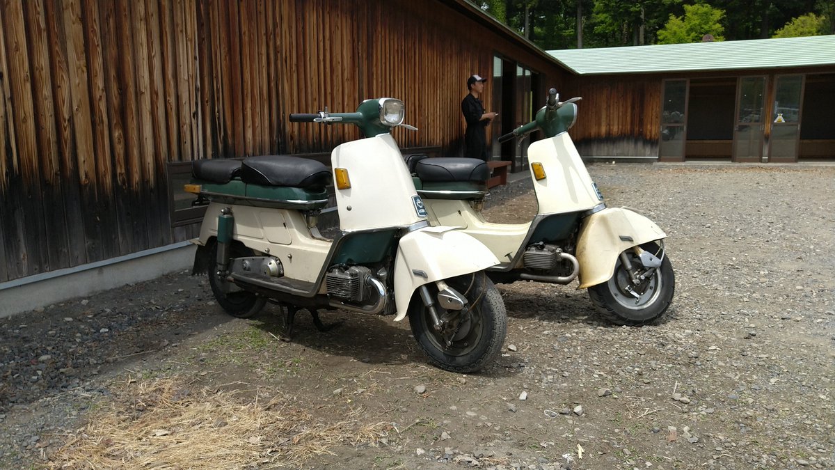 きじとら キジ猫😺のキーちゃんに癒されてるか齧られてる龍🐉と虎🐯のお父さん