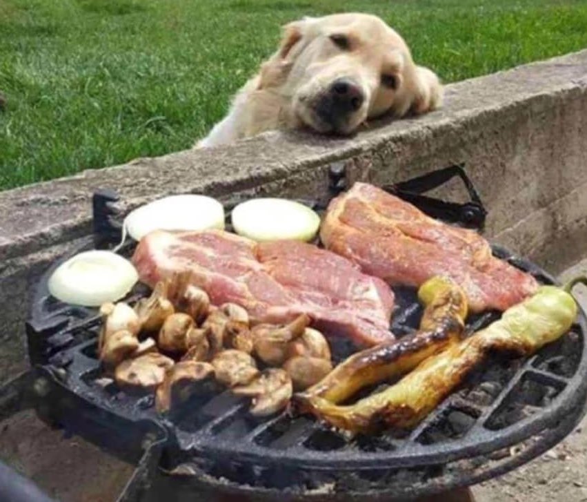 VipersAddict's tweet image. KCCA FC trying to win trophies in the last 5 years

#VipersAddict