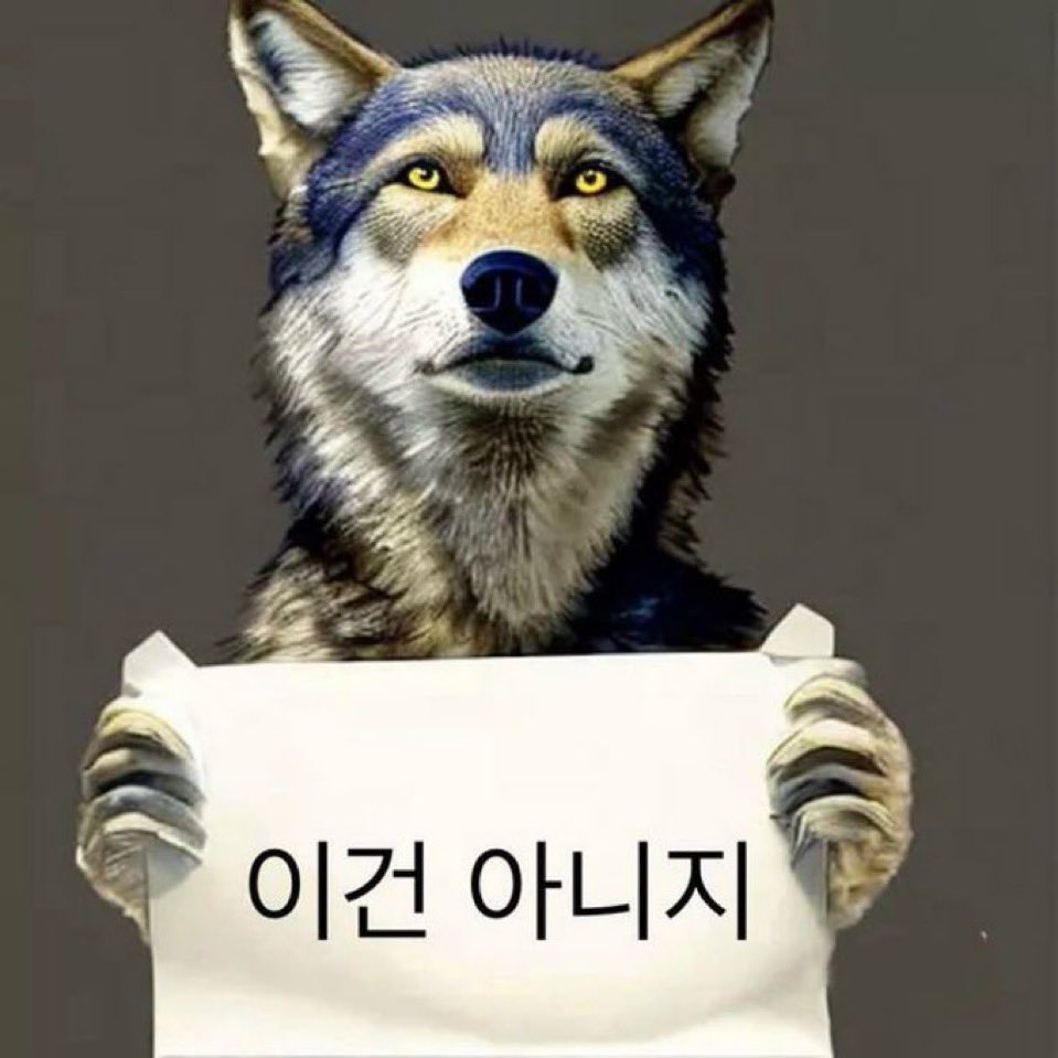 drcometr__'s tweet photo. @0rloro @mackerel_ham https://t.co/IXOAY3aG7x