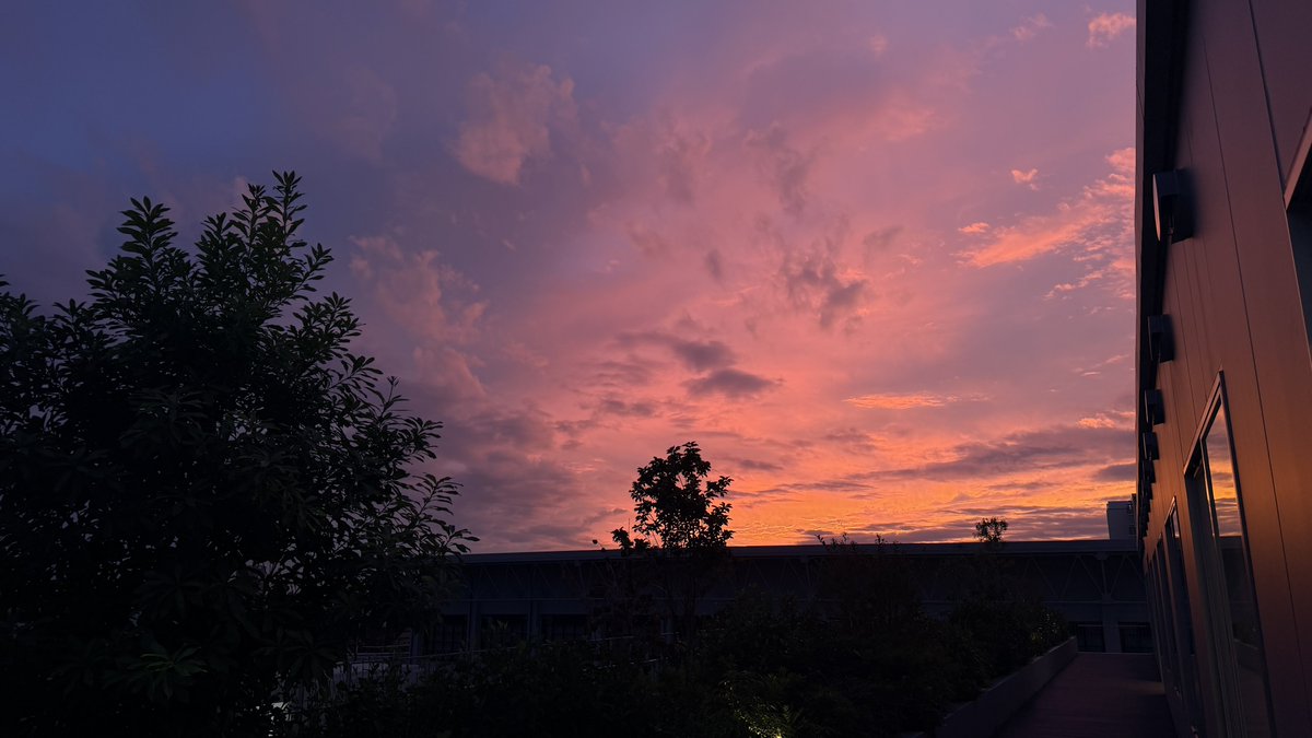 Post by 滋野 正道 on X: わあ！きれい！