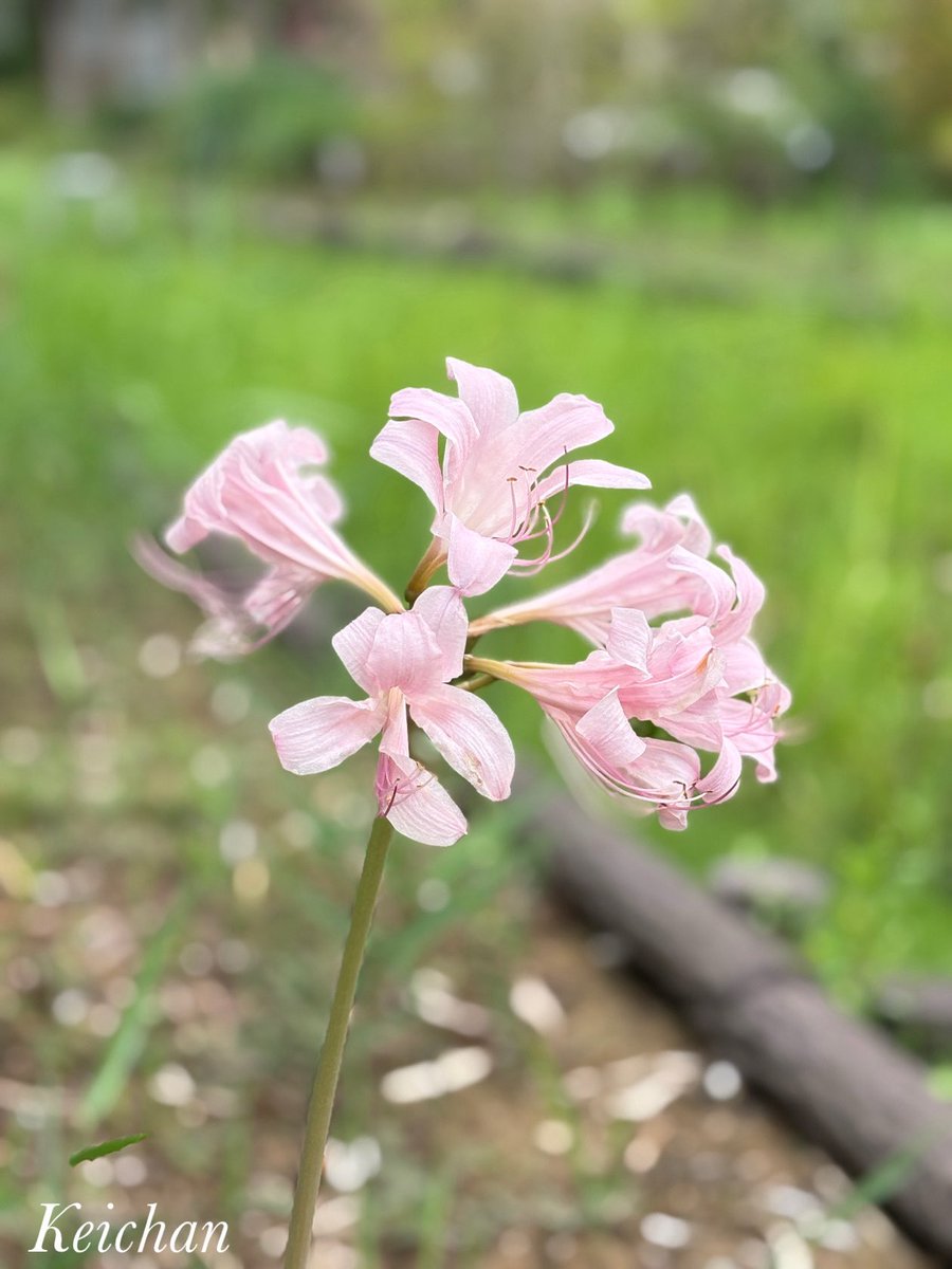 けいちゃん on X