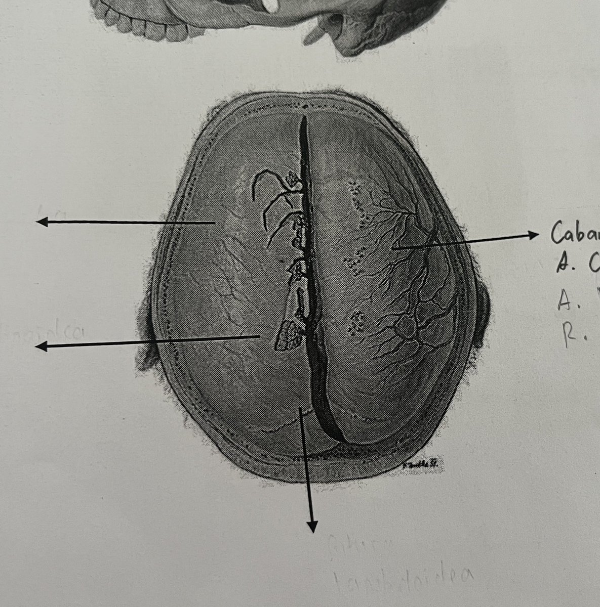 lowaa sok asik tweet media
