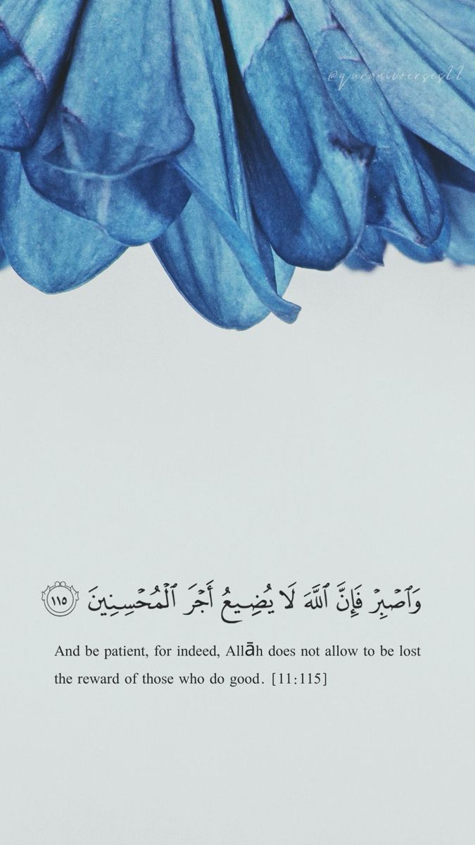 فَإِنَّ اللَّهَ لَا يُضِيعُ أَجْرَ الْمُحْسِنِينَ💙..