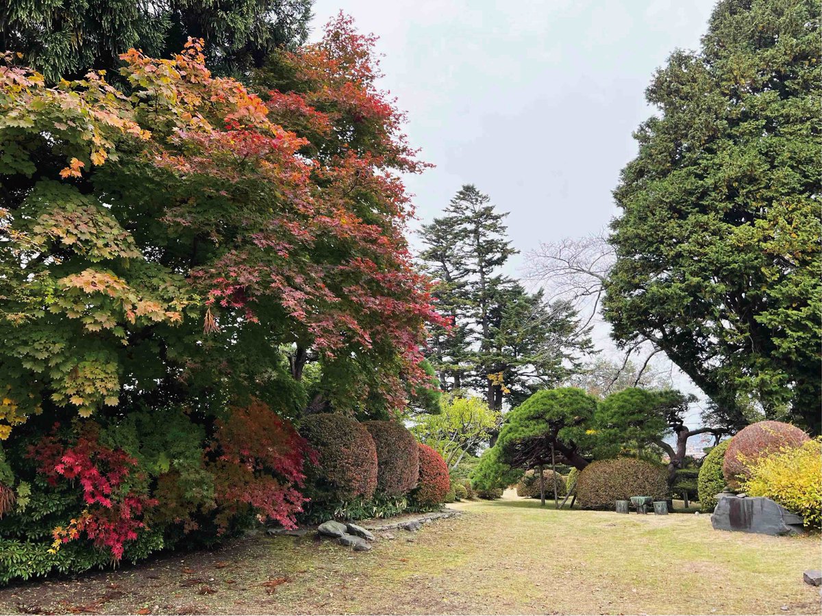 南国大樹桃色邸庭図 南国大樹桃色邸庭図 南国大樹桃色邸庭図