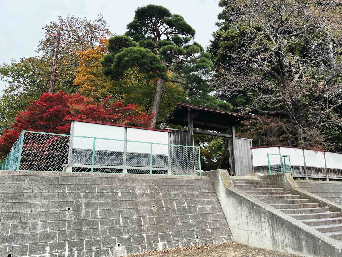 南国大樹桃色邸庭図 南国大樹桃色邸庭図 南国大樹桃色邸庭図