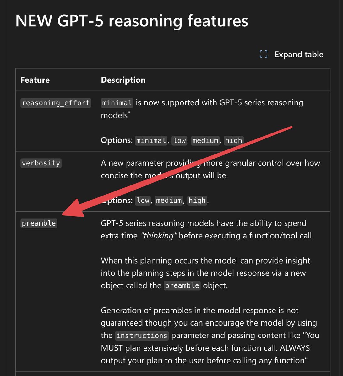 til about `preamble` parameter in GPT-5
