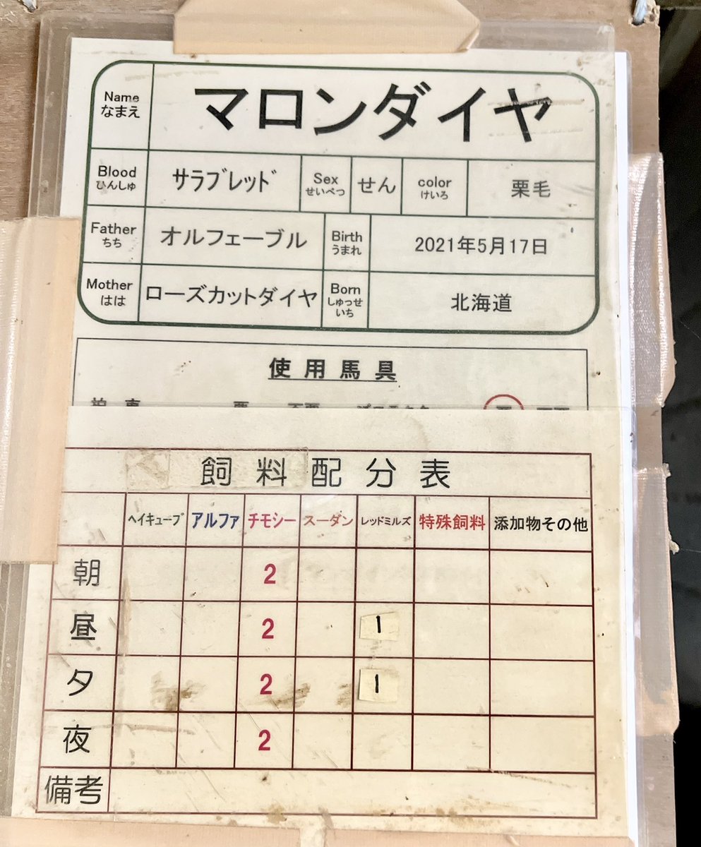 オルフェーヴルさま確認ページ♡ ムゥ on X