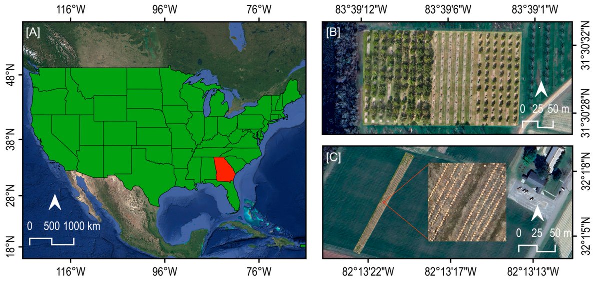 AgricultureMdpi's tweet image. 👉New publication in Agriculture: &quot;Automated Crop Measurements with UAVs: Evaluation of an AI-Driven Platform for Counting and Biometric Analysis&quot; by Martins, et al.

📃Read it here: mdpi.com/2077-0472/15/2…

#UAV #AI #decisionsupportsystems #remotesensing #specialtycrops