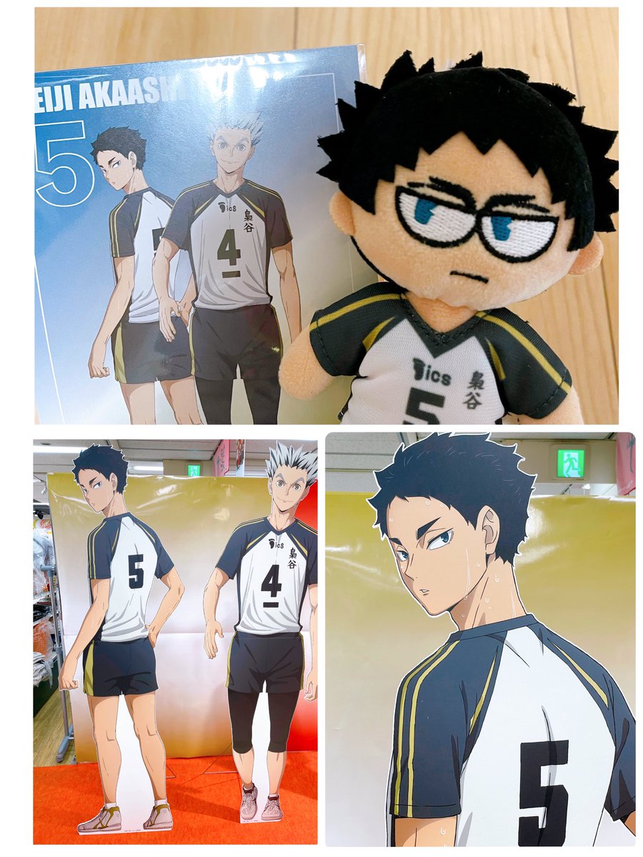 ブーブーこぶた様(⁠ノ⁠◕⁠ヮ⁠◕⁠)⁠ノ⁠*⁠.⁠✧ suzu☺︎ on X