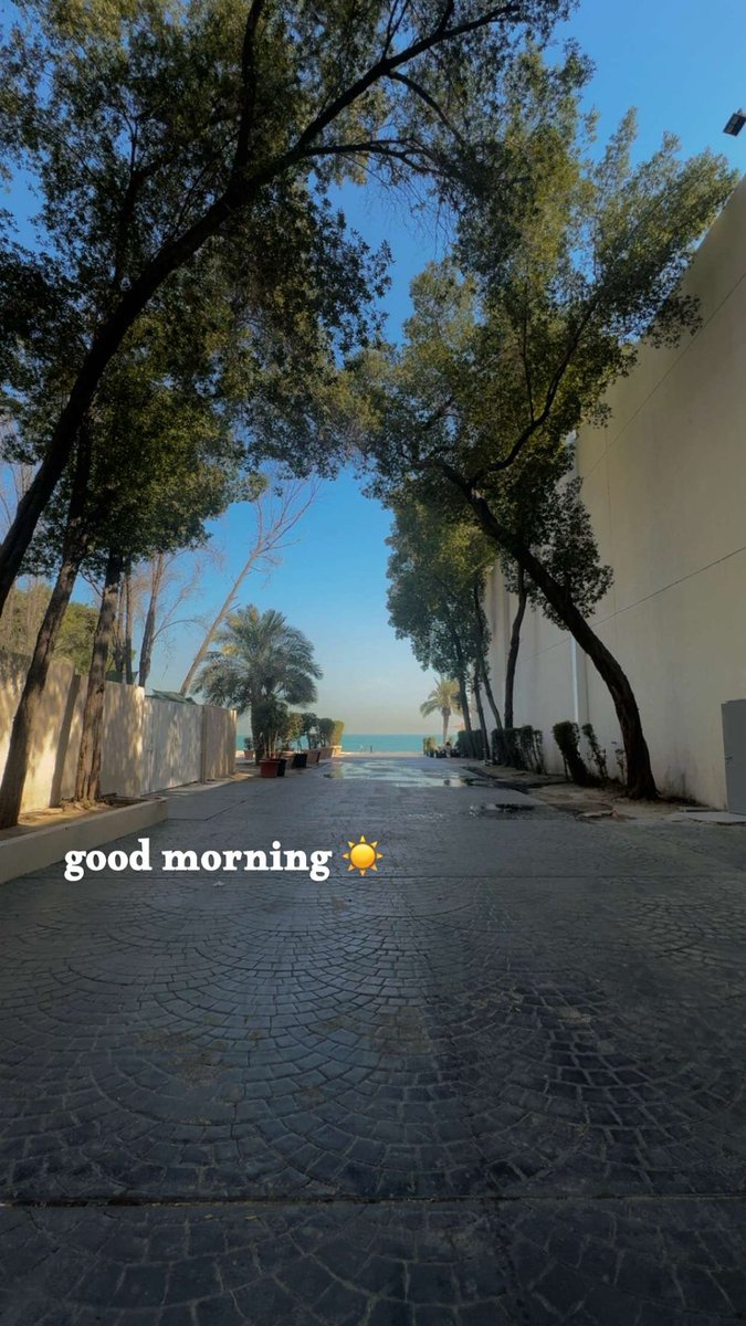 good morning🫶☀️