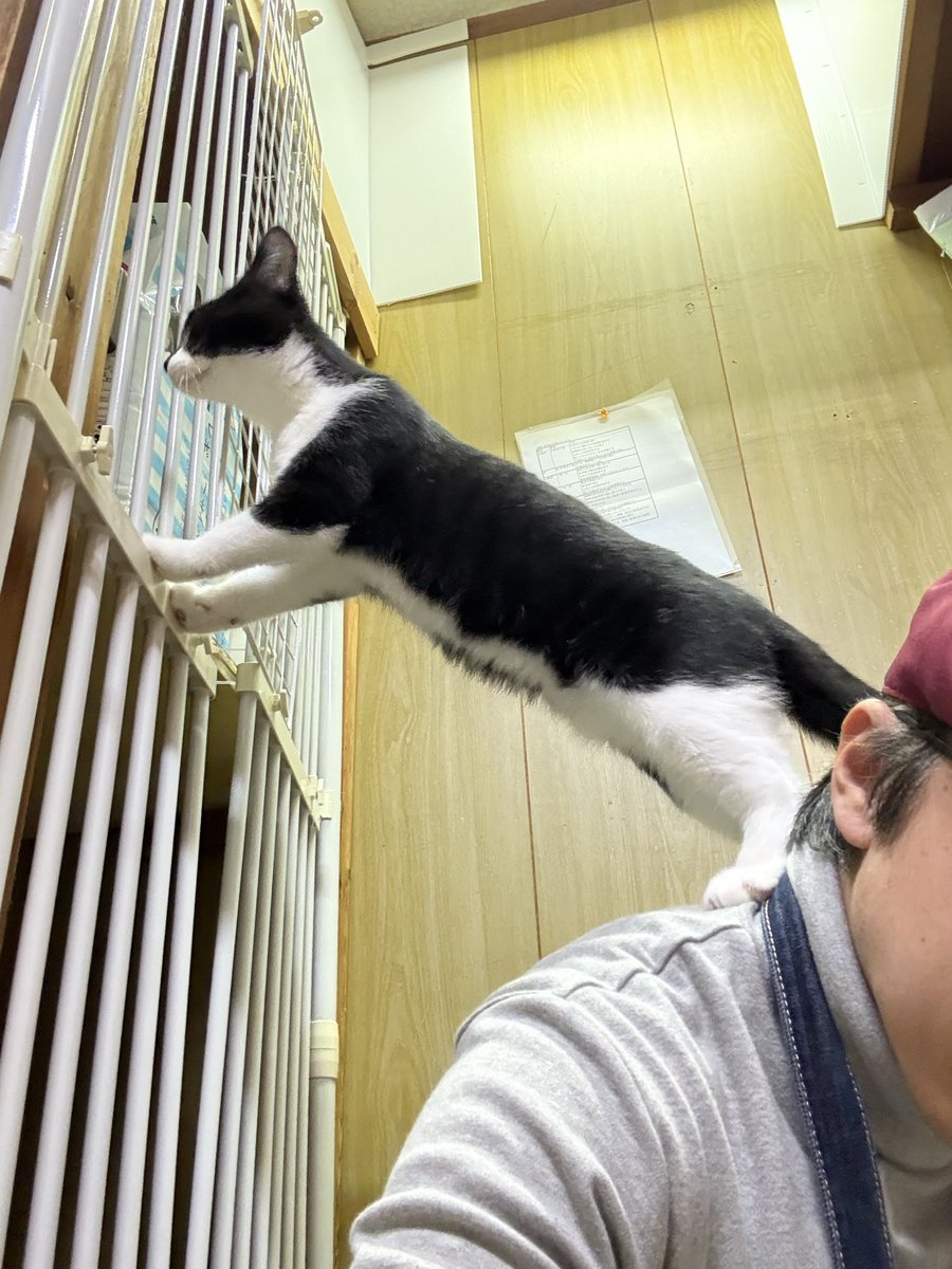 わかもじ❥む〜る📎📎 on X