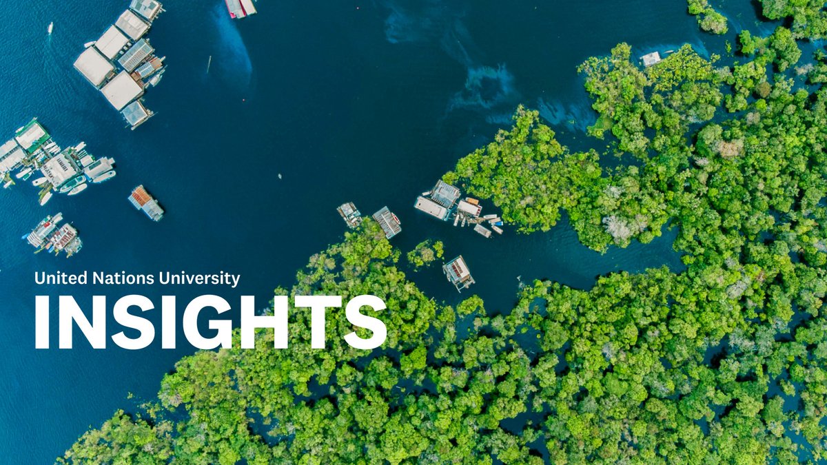 Did you miss the latest edition of #UNUINSIGHTS? 🗞️

The October edition brings you the latest updates from across the UNU system, including UNU's presence at and contributions to #COP30 in Belém, Brazil.

Read more and subscribe now: go.unu.edu/8piW1

#UNUat50 #UNUatCOP30