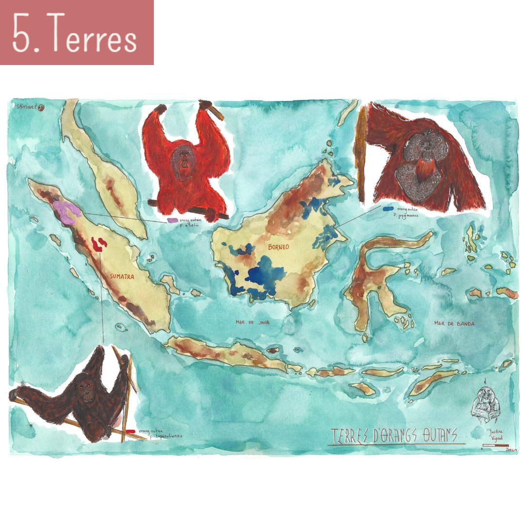 Junevgt's tweet photo. JOUR 5 - TERRES 

Protégeons les terres des Orangs outans. 

#30DayMapChallenge #inktober #carte #stinarto https://t.co/7yE1D5twxu