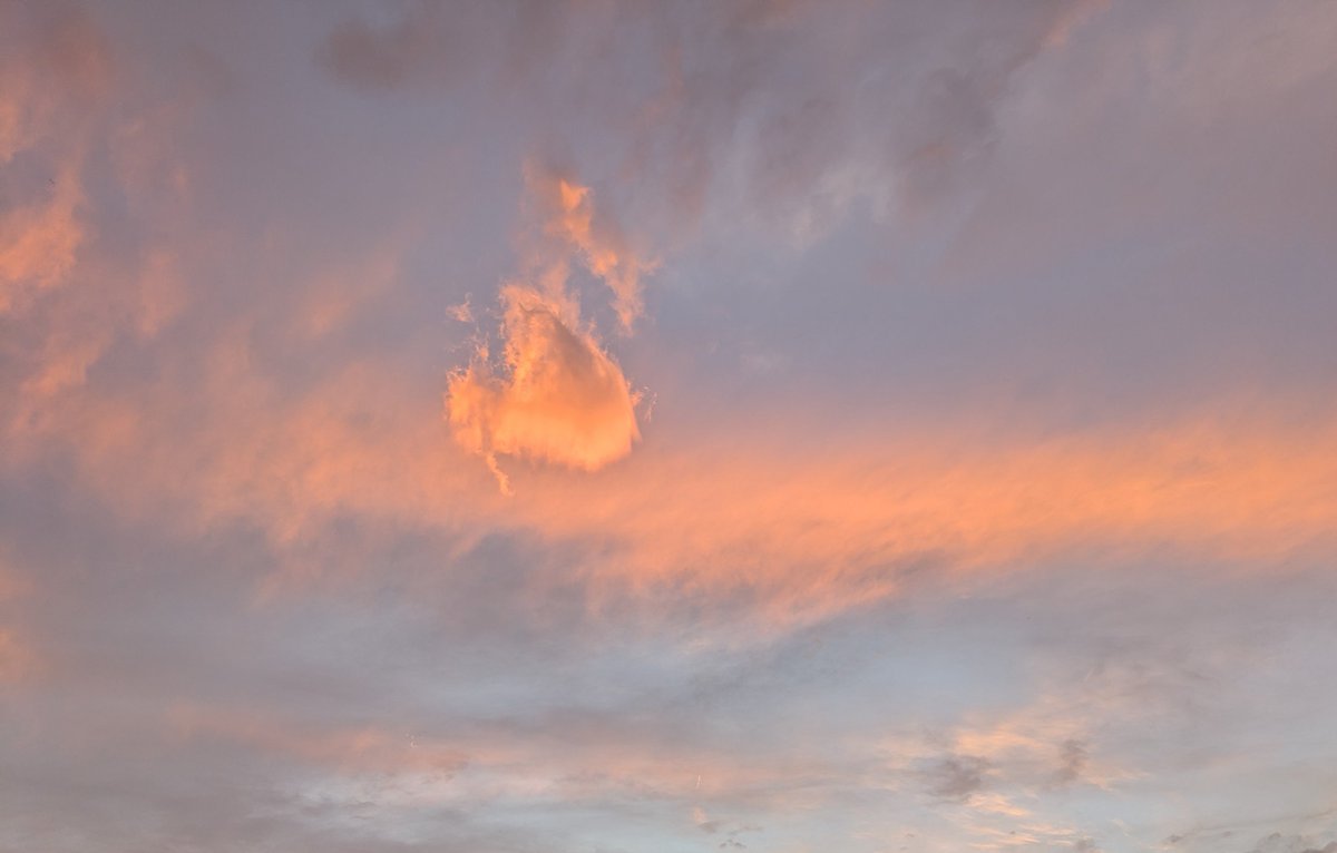 カプチーノ☕️ (@bEVHdd96ox71673) / Posts / X