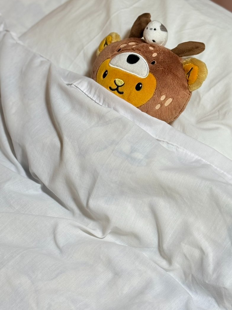 キュンちゃん【公式】 (@kyunchan_dc) / Posts / X