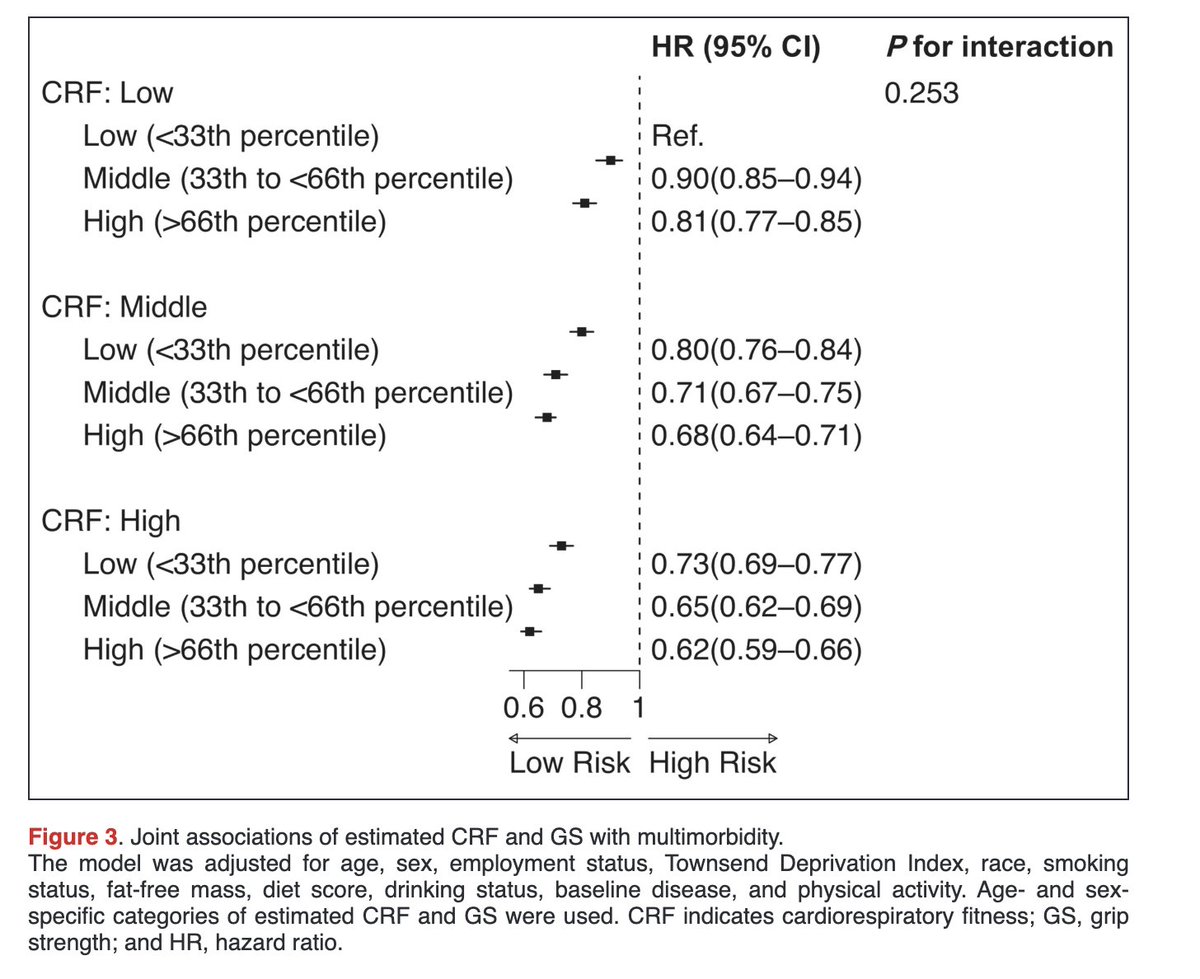 kamleshkhunti's tweet image. 🎯 Higher cardiorespiratory fitness (CRF) 🏃‍♂️&amp;amp; grip strength 💪 associated with lower risk of multiple long-term conditions 

Effect was strongest with both.

💡 Need for interventions to boost both fitness &amp;amp; strength may protect against multisystem disease❤️🧠🫁

#UKBiobank…
