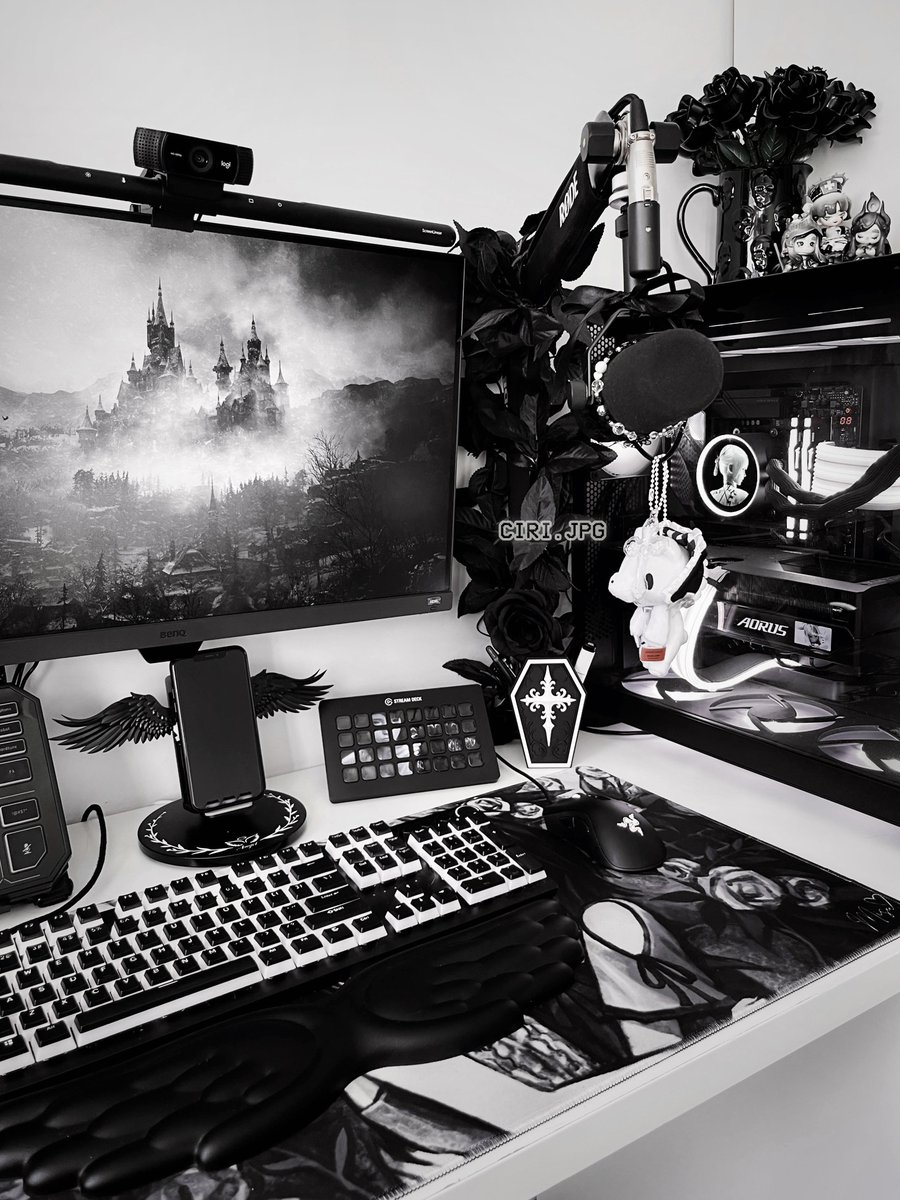 Ciri 💿⛓️ tweet media