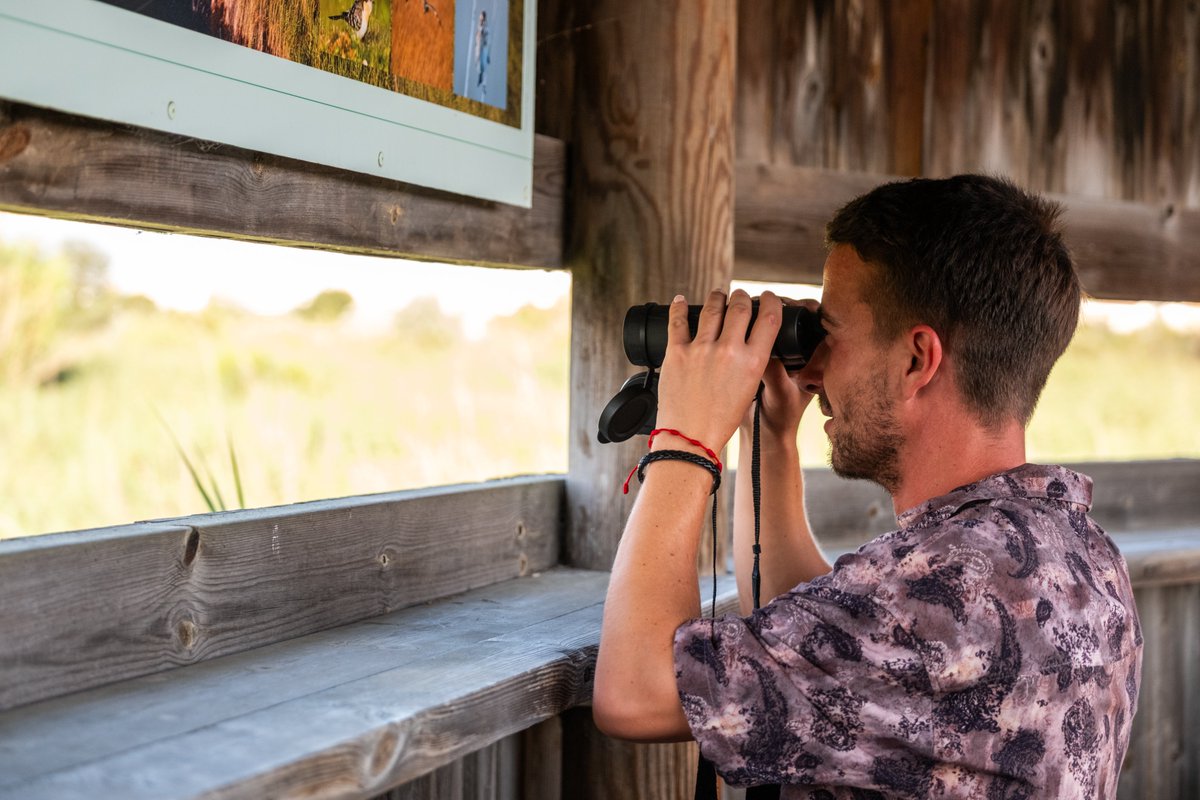 🌾La Séquia Major és un espai protegit únic on conviuen espècies d’aus aquàtiques, plantes autòctones i ecosistemes que et faran connectar amb la natura en estat pur. Les visites són gratuïtes i guiades, i cal fer inscripció prèvia a lapinedaplatja.info.