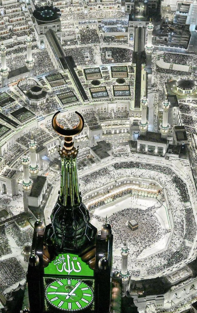 أخبار السعودية tweet media