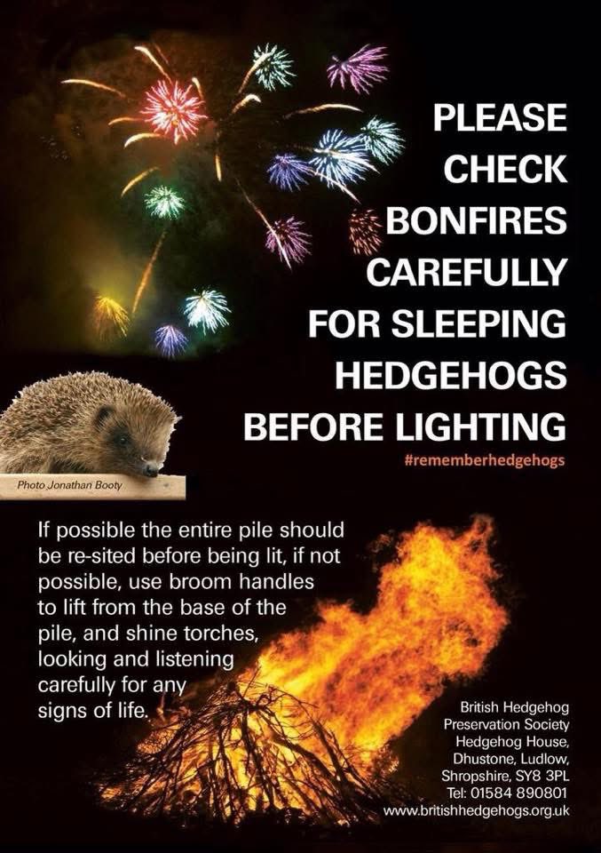 Happy Bonfire Night if you’re hosting a fireworks party check for Hedgehogs before lighting.💥 #BonfireNight