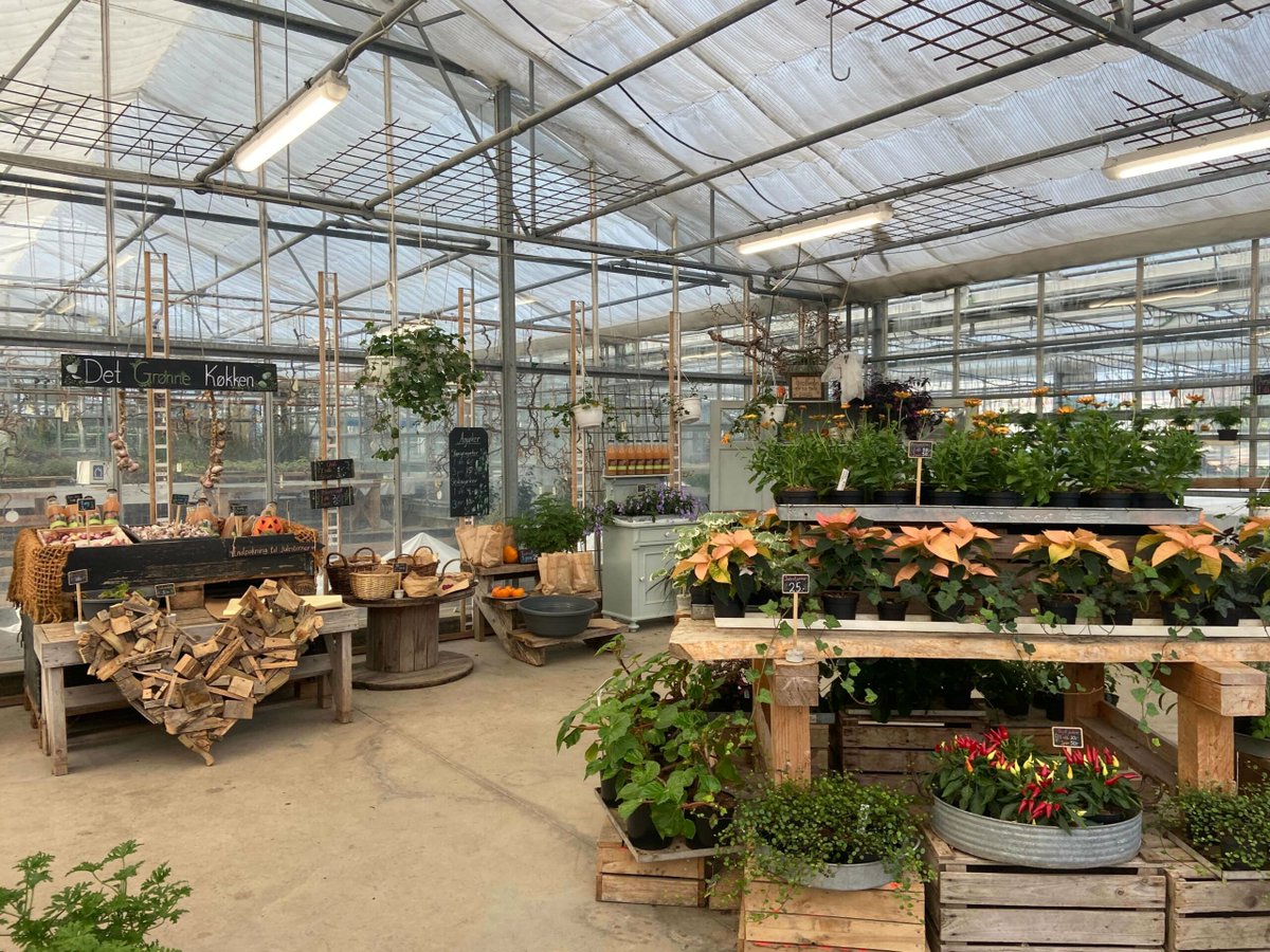 ProjectsBCNaklo's tweet image. 🎓 Our students on placement in Roskilde 🇩🇰💐 Spiral technique, Copenhagen market—full of inspiration! More: bc-naklo.si/akreditacija-v… #BCNaklo #ErasmusPlus #CMEPIUS #AkreditacijaVET #Roskilde #Kopenhagen