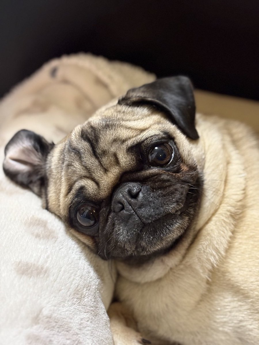 Beauté du jour 😍