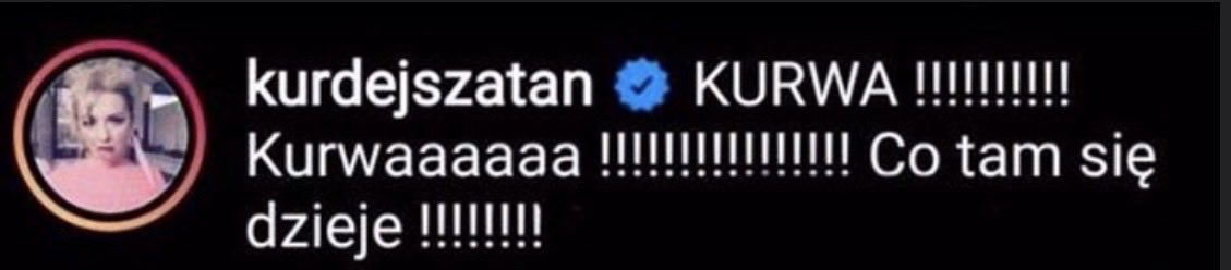karina tweet media