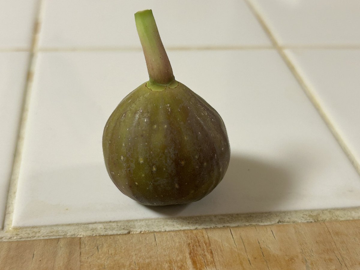 いちじくhanafuku画面 いちじくhanafuku画面 ゆみゆみ on X